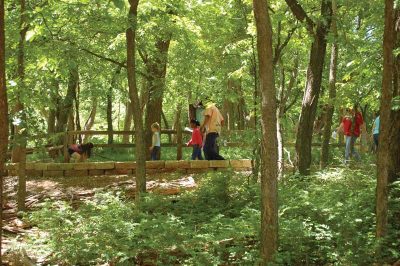 Guided Hikes at Martin Nature Park