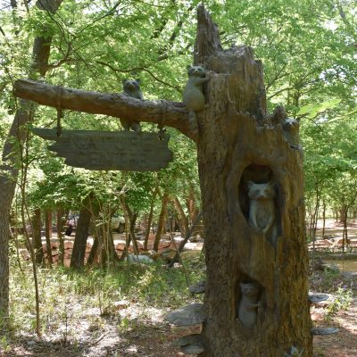 Geocashing in Martin Park Nature Center