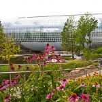 Gallery 3 - Myriad Botanical Gardens