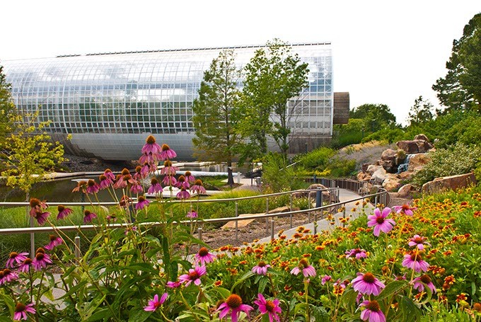 Gallery 3 - Myriad Botanical Gardens