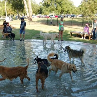 Edmond Dog Park