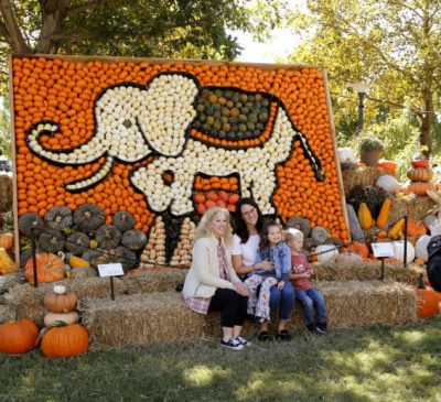 PUMPKINVILLE