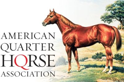 American Quarter Horse Association