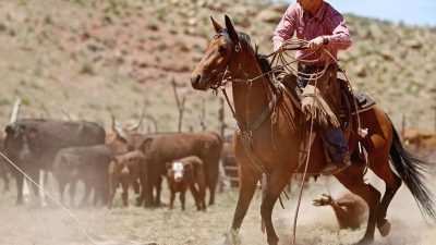 2020 OCA Ranch Rodeo