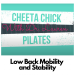 Cheetah Chick Pilates- Low Back Mobility and Stability