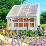 Main Street Community Garden