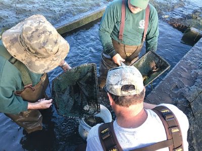 H.B. Parsons Fish Hatchery