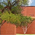 The Village Library