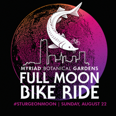 Full Moon Bike Ride