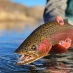 Youth Hooked on Fishing Trout Edition (January)