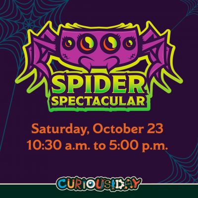 Curiousiday: Spider Spectacular 2021