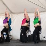 Gallery 2 - Intro to Bellydance
