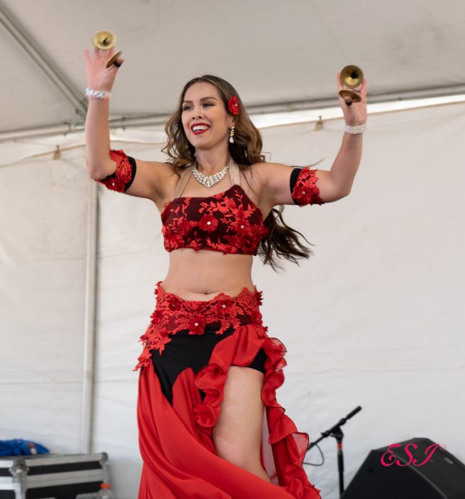 Gallery 3 - Intro to Bellydance