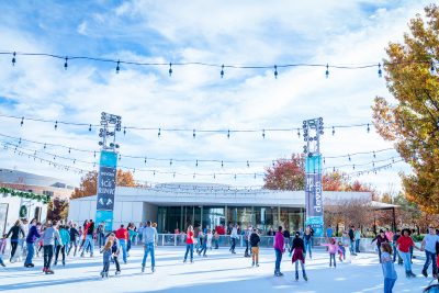 Devon Ice Rink