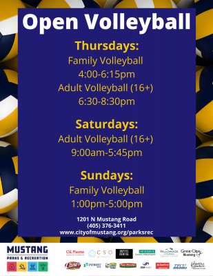 Open Adult Volleyball