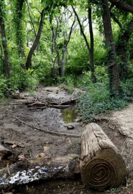 Stinchcomb Wildlife Refuge