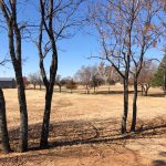 Gallery 2 - Oklahoma Christian University Disc Golf Course