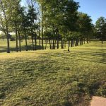 Gallery 1 - Oklahoma Christian University Disc Golf Course