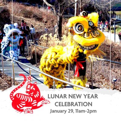 Lunar New Year Celebration at Myriad Botanical Gar...