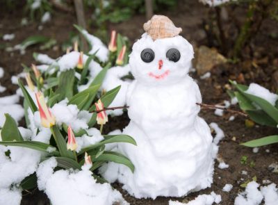 Farewell Winter! Welcome Spring at Myriad Gardens!