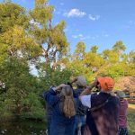 Mollie Spencer Farm's Bird Walk for Beginners