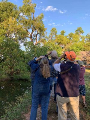 Mollie Spencer Farm's Bird Walk for Beginners